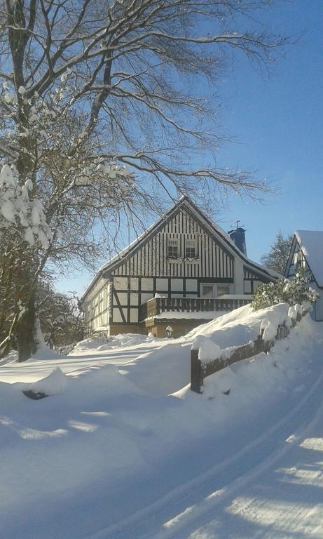 Ferienwohnung Kraehling Schmallenberg Exteriér fotografie